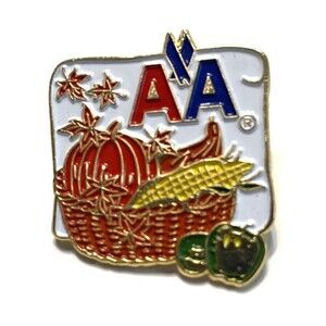Rare American Airlines Fall Pin Autumn Harvest Enamel Airline Collectible